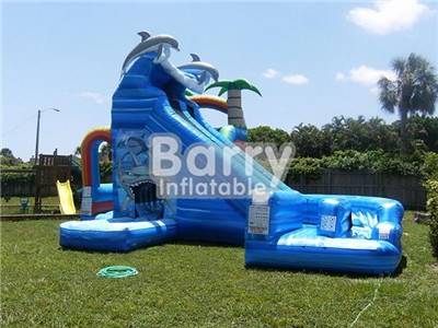 Cheap Sharp Kids Use Commercial Inflatable Water Slides BY-WS-024